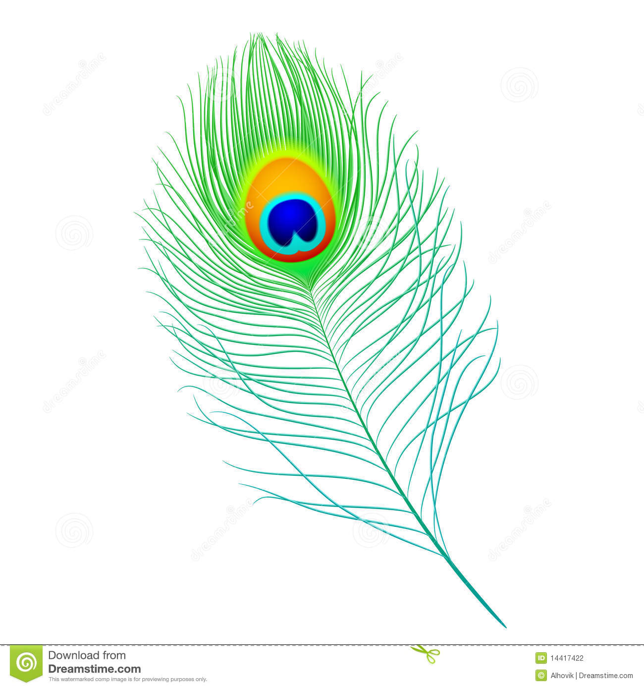 Peacock feather. Peacock feather. peacock feather clipart