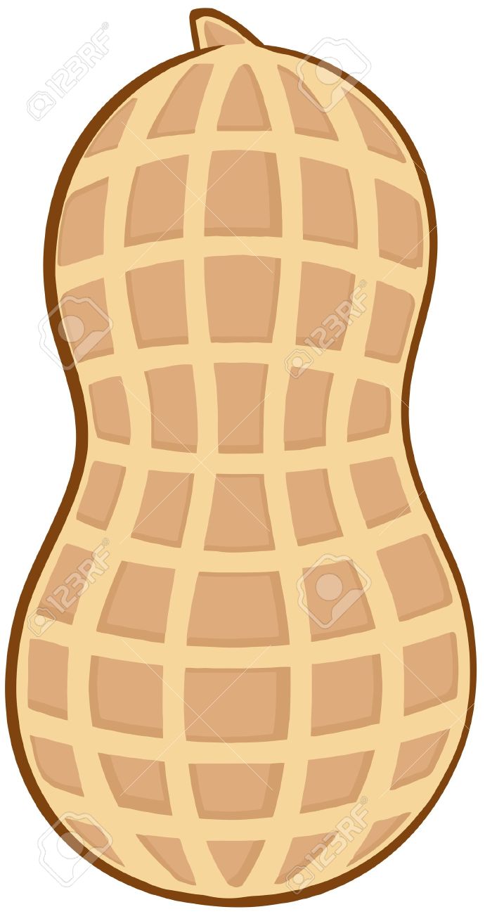 Peanuts PNG Clipart Picture. 2,963 Peanut Stock .