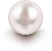 pearl necklace u0026middot; White pearl
