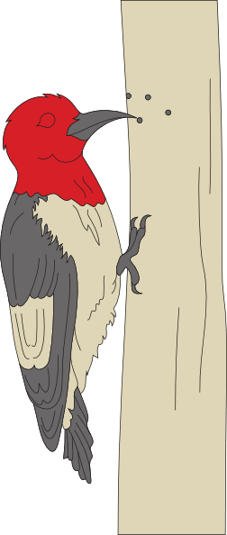 Pecking Woodpecker svg - Woodpecker Clipart