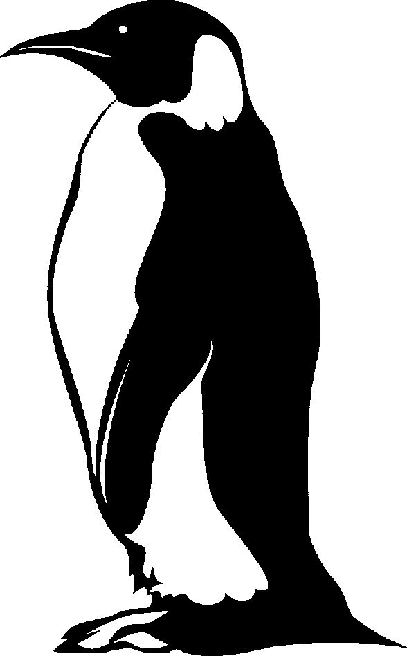 Penguin clip art google search 2 project 1