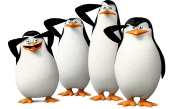 Cartoon Movie Penguins Of Madagascar · HD Wallpaper | Background Image  ID:682225