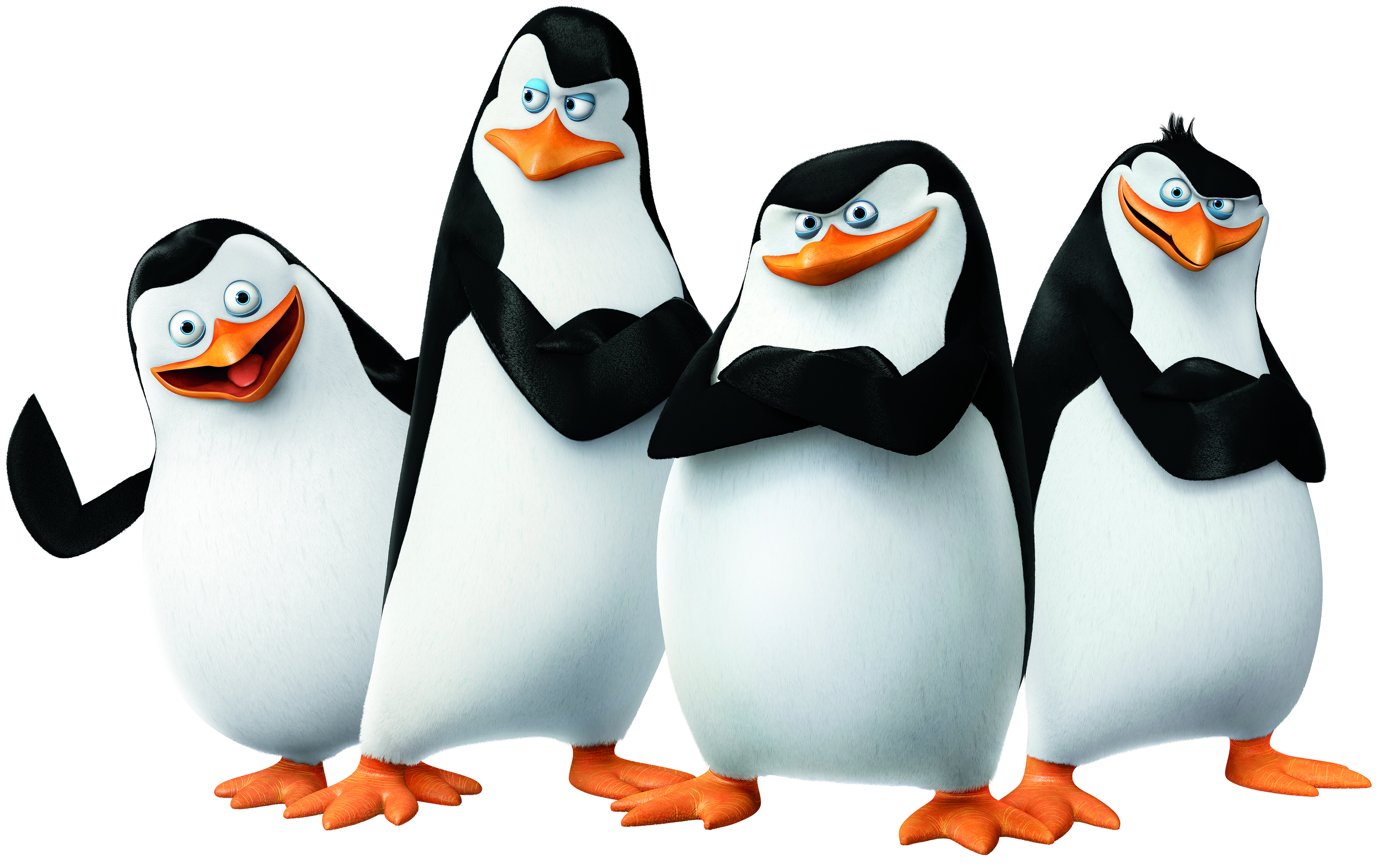 pinguins de madagascar - Pesquisa Google