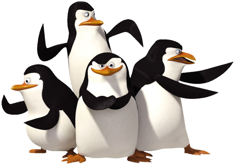 The penguins (left to right): Private, Kowalski, Skipper and Rico.