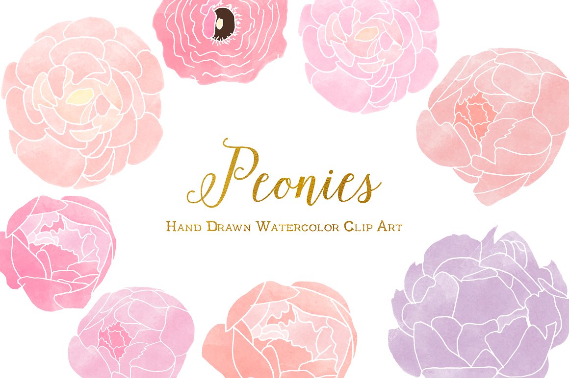 print with pink peony vector 