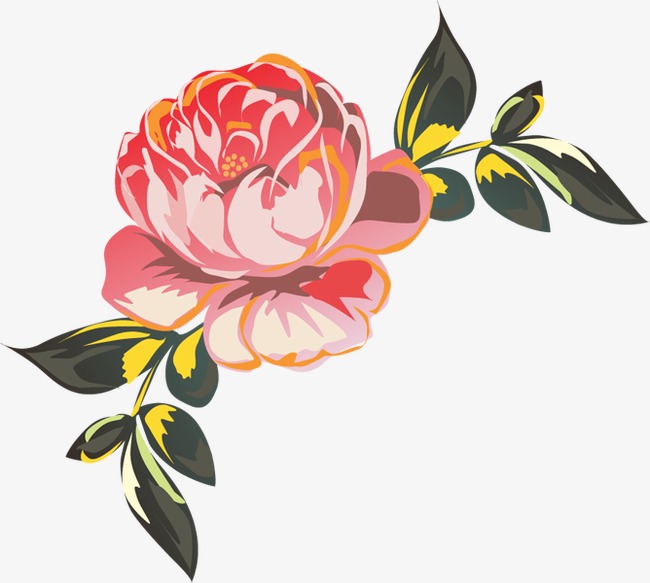 computer painted pink peony, Hand Painted, Flowers, Pink PNG Image and  Clipart