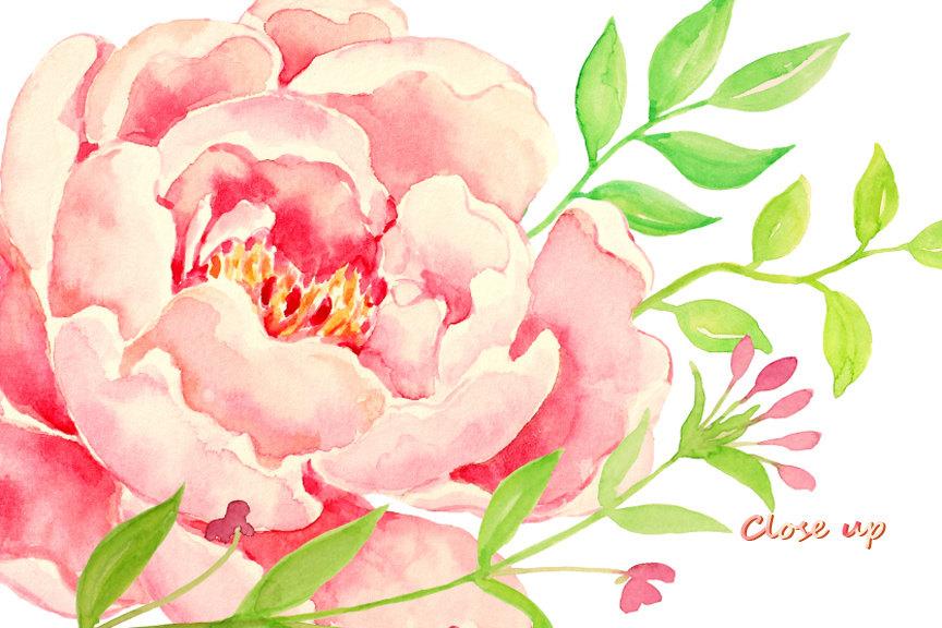 Pink watercolor peonies with 