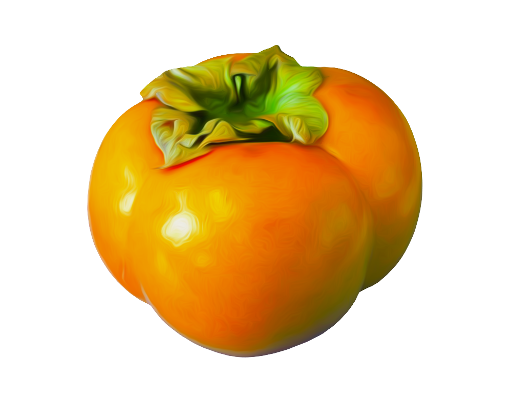Best free Persimmon Icon PNG - Persimmon Clipart