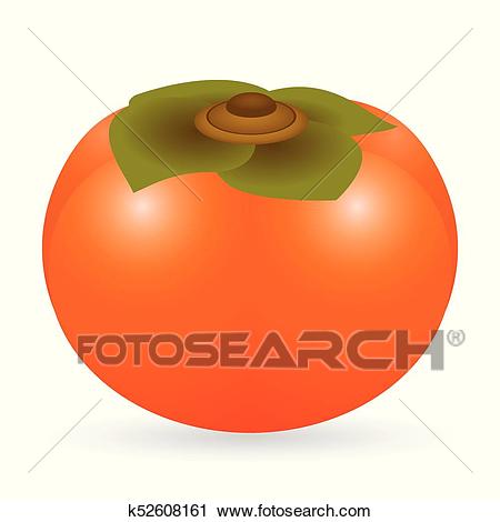 Clipart - Persimmon vector isolated. Fotosearch - Search Clip Art,  Illustration Murals, Drawings