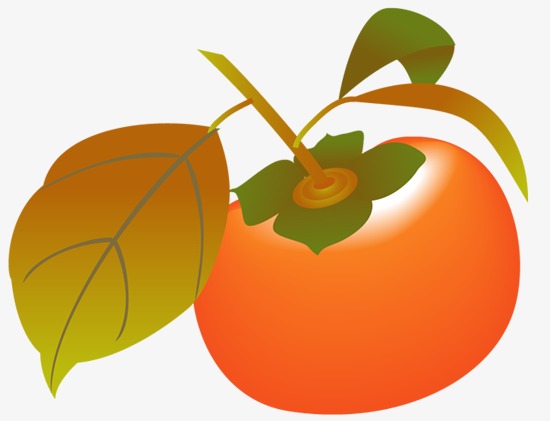 persimmon, Tomato, Red Persimmon, Hand Drawn Tomato PNG Image and Clipart