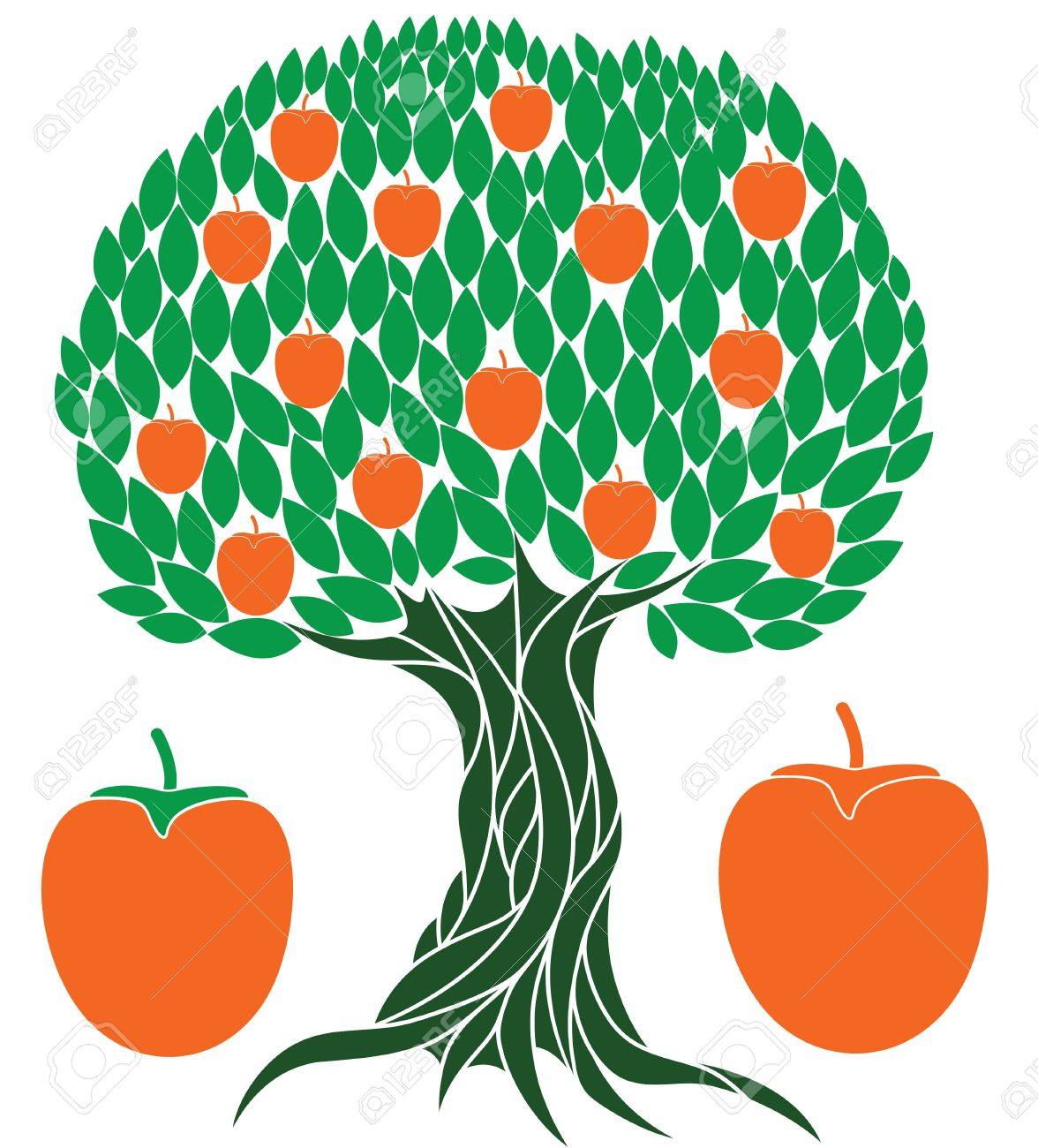 Clipart - Persimmon fruits on