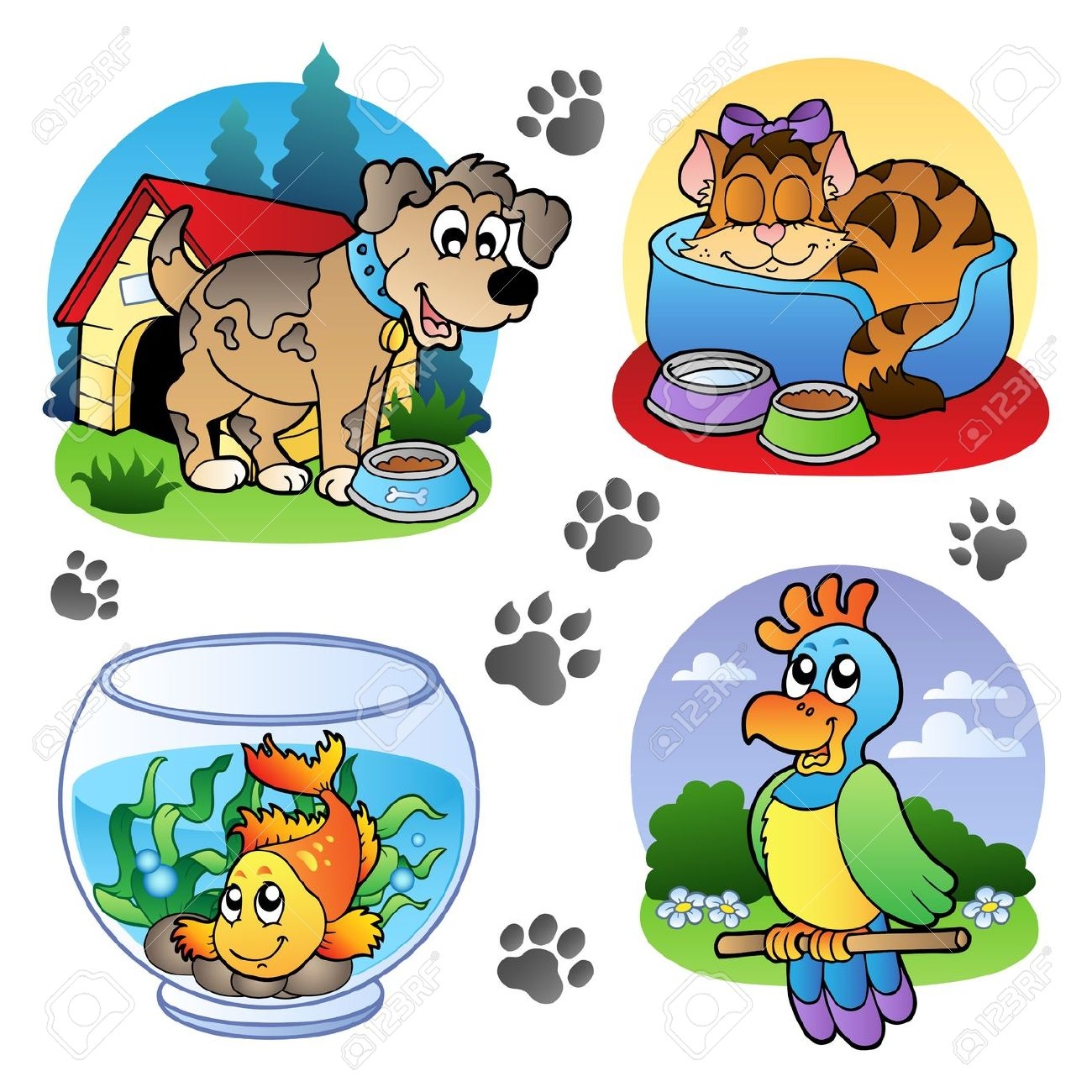 pet bowl: Various pets images