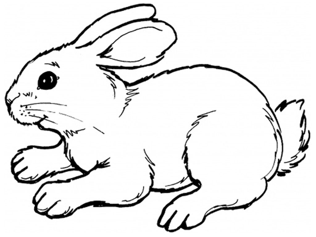 Peter Rabbit Clip Art