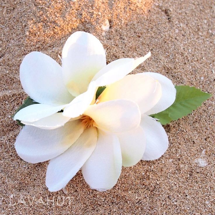 Petite Plumeria White Hawaiian Flower Hair Clip