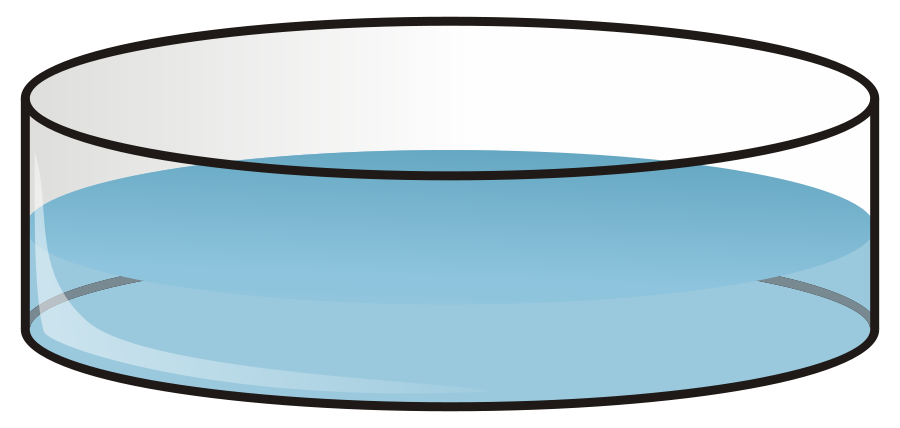 Petri Dish Clipart