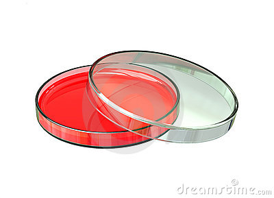 Petri Stock Illustrations u20 - Petri Dish Clip Art