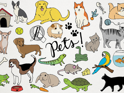 Pets Clipart Image Cute Carto
