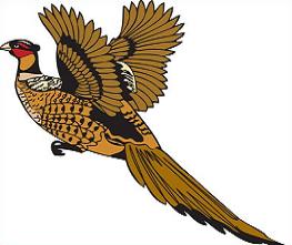 Pheasant - Pheasant Clip Art