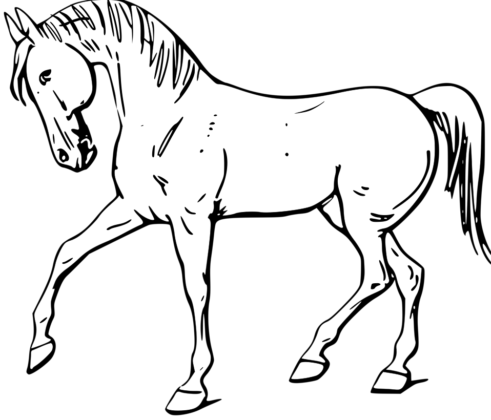 Photo Illustration Of A Walking Horse In Black And White 11455