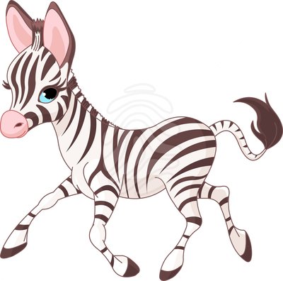 pic source zebra 20clipart - Baby Zebra Clipart