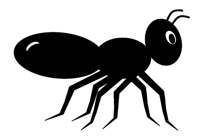 Print version of black ant.