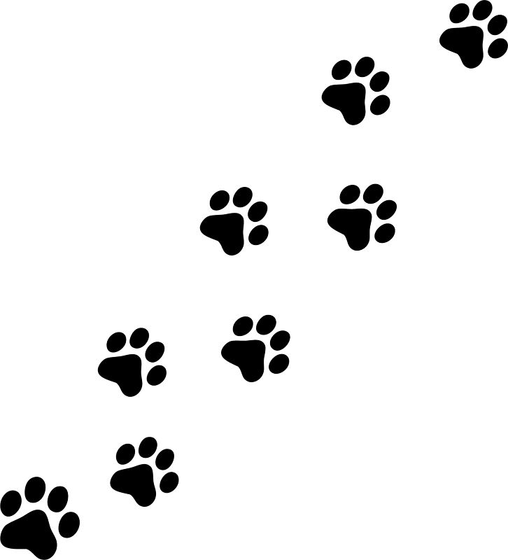 Panther paw print silhouette 