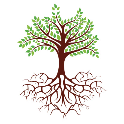 Picture Of A Tree With Roots - Roots Clip Art