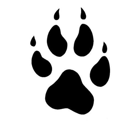 Pictures Of Wolf Paw Prints Clipart Best