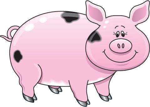 Funny Pink Pigs - Farm Animal