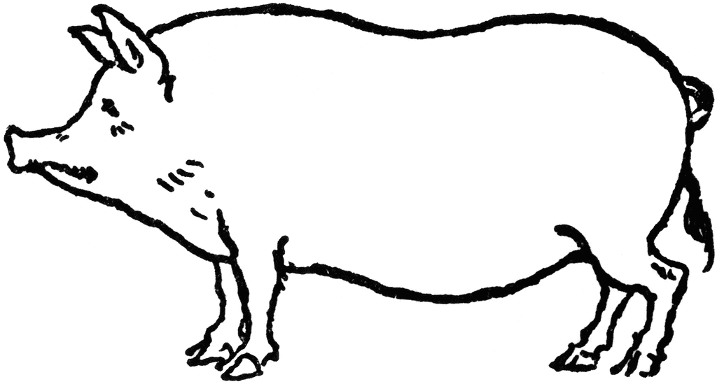 Pig Clipart Download Image Search Results
