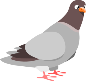 Pigeon Clip Art - Pigeon Clip Art