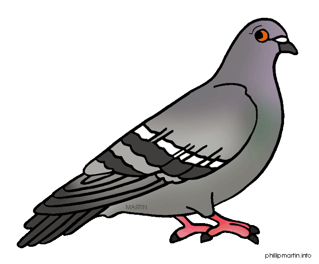 Pigeon clip art Free vector 8