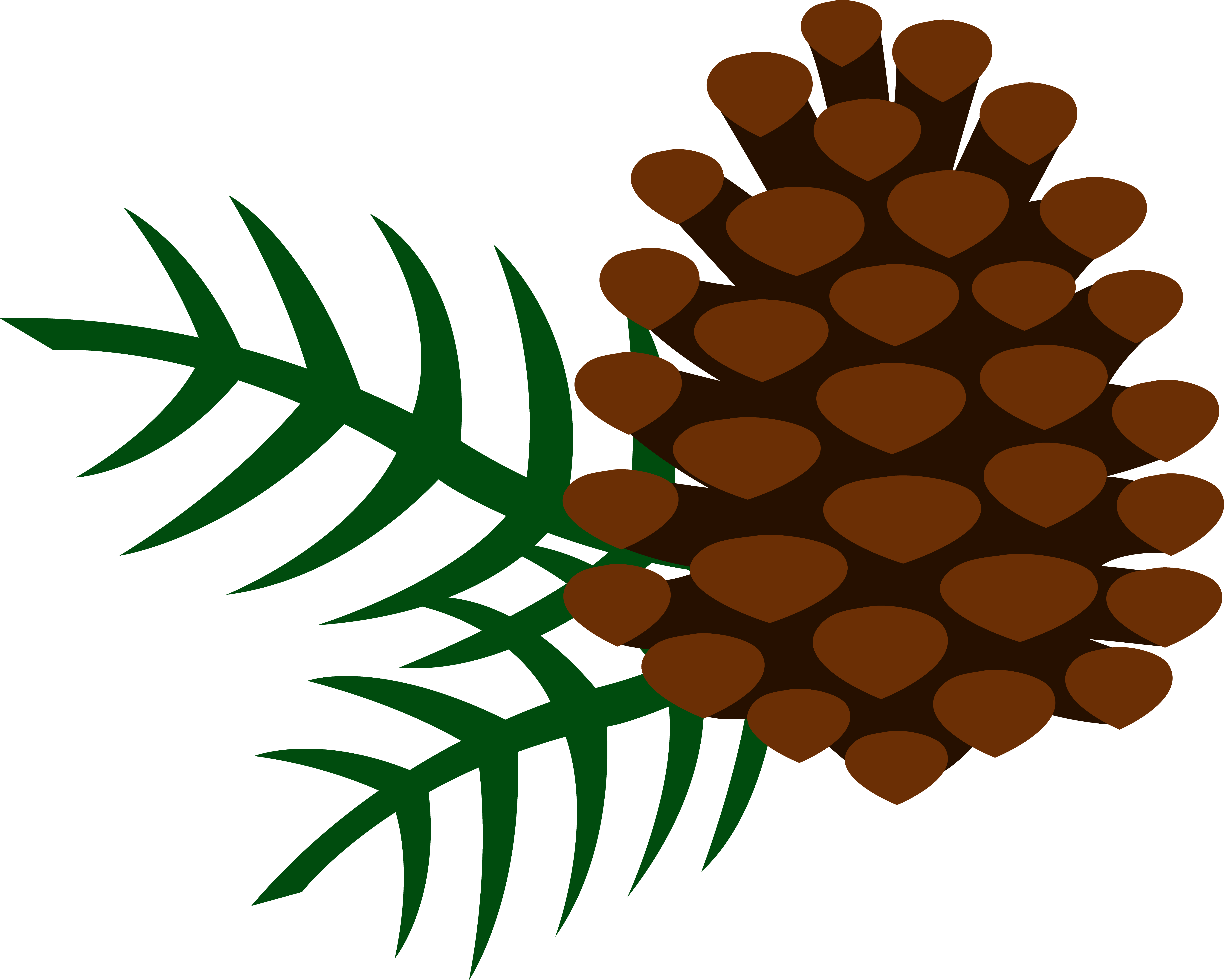 pine clipart - Pine Cone Clip Art