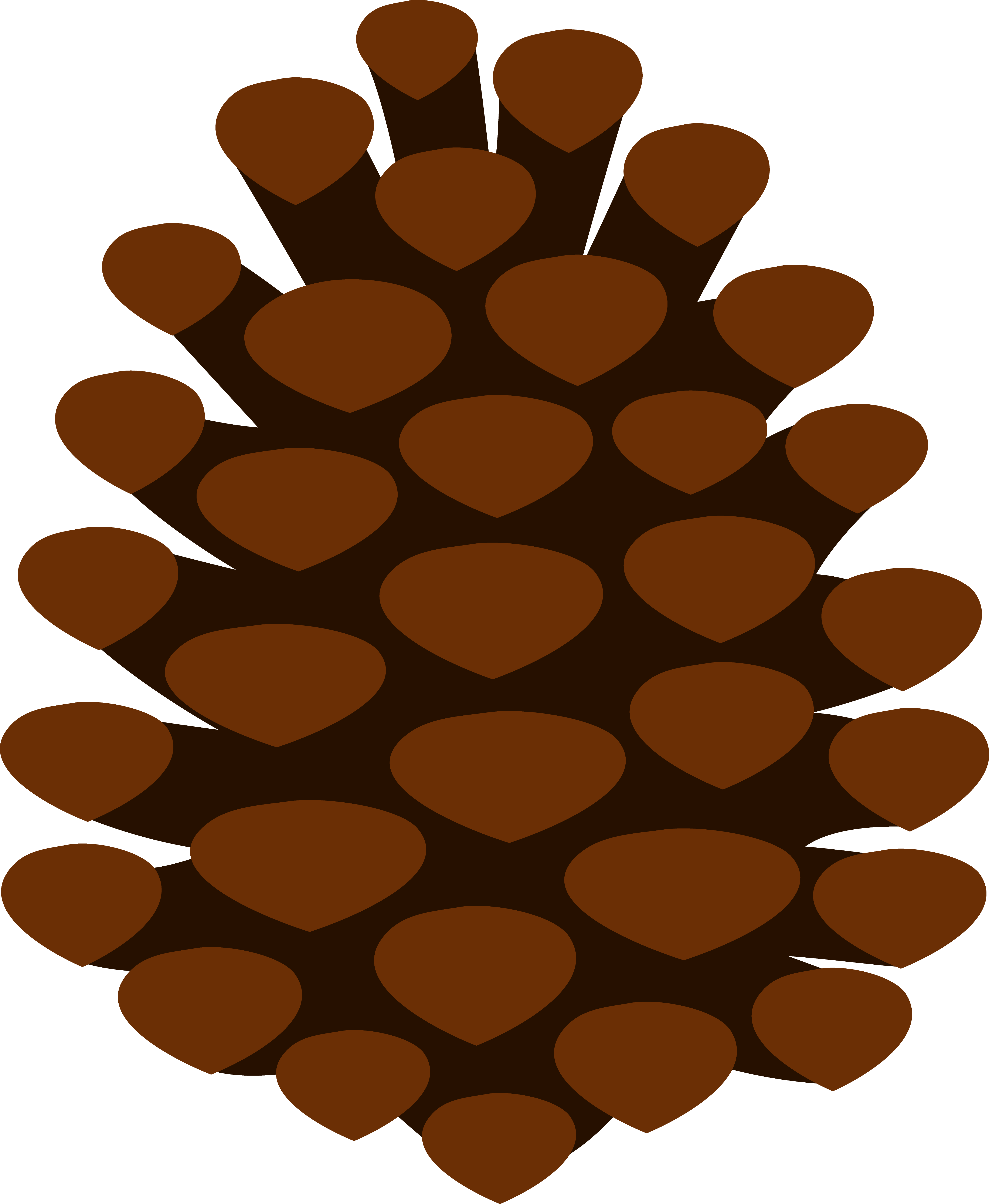 White Pine Cone Drawing Clip 
