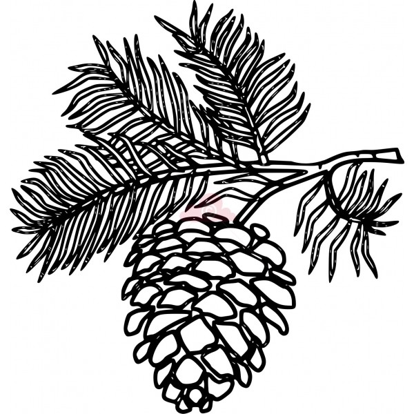 pine clipart. View full size 