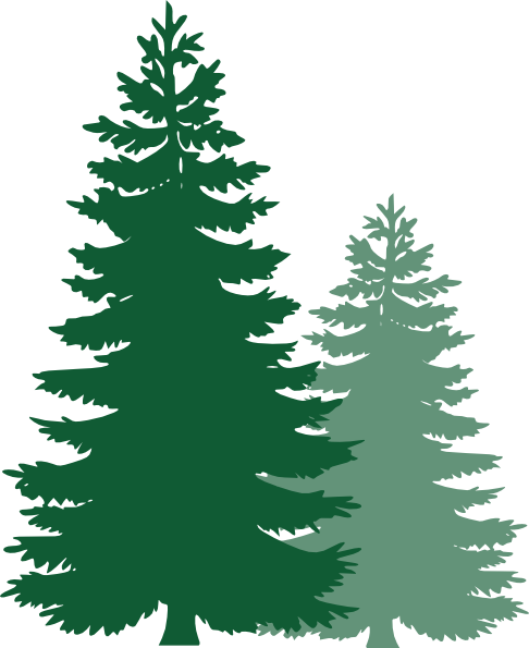 pine tree clipart - Clipart Pine Tree