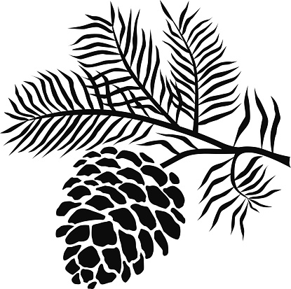 Pine Cone Clipart Winter Wedding Clipart. pinecone on branch in black .