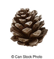 Pine cone Clipartby Artnature0/17; Pine cone