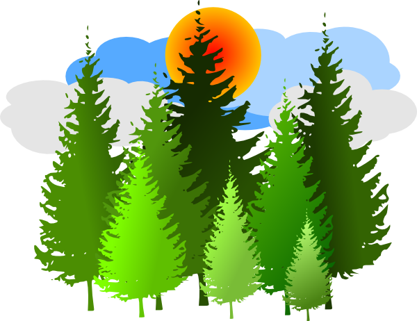 Pine Forest - Forest Clip Art