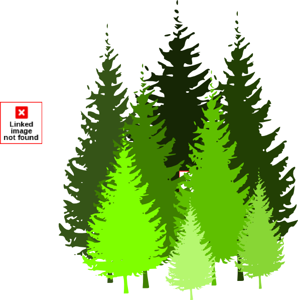 Pine tree clip art at vector clip art image