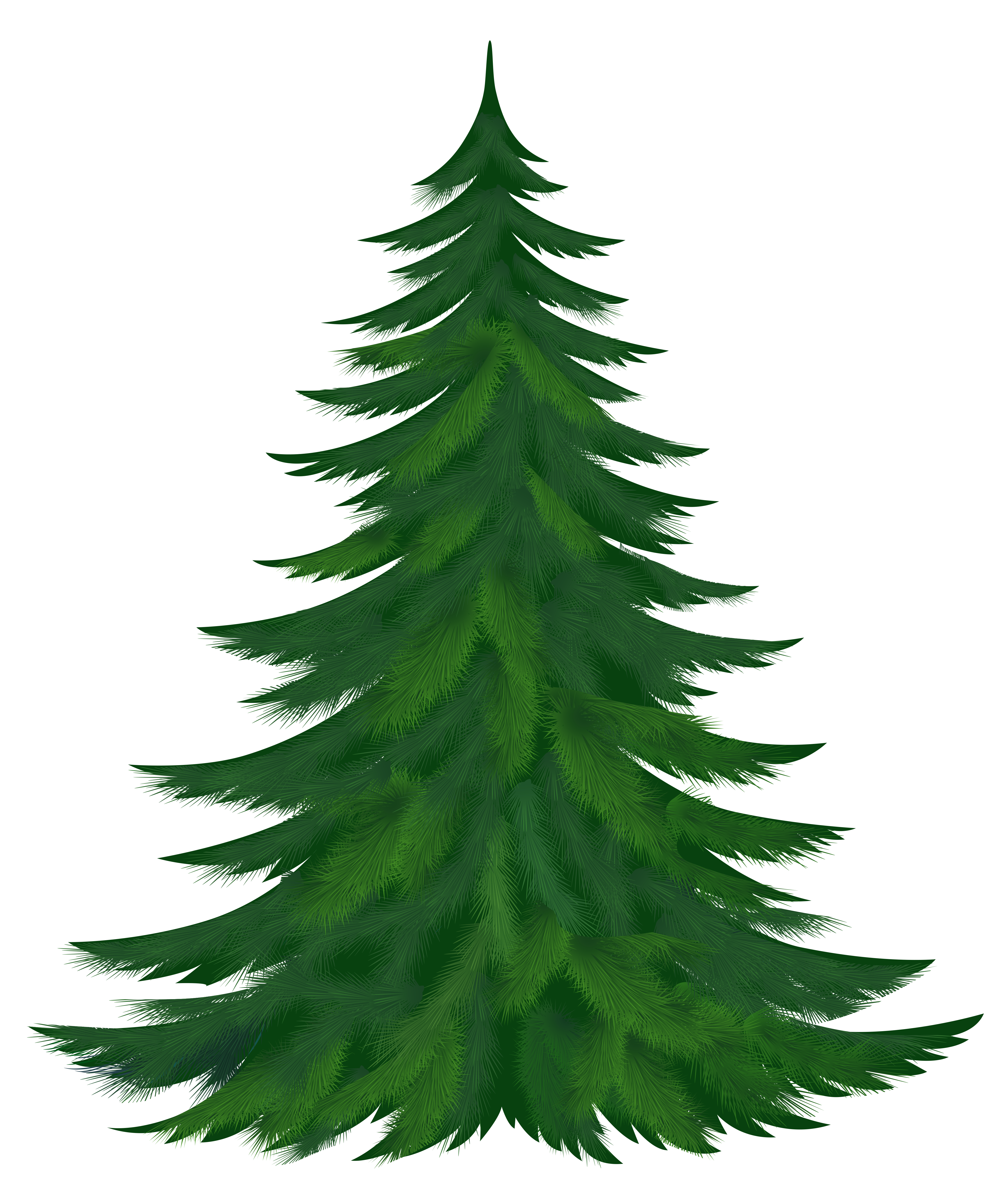 Pine Tree Clipart - Clipart Pine Tree