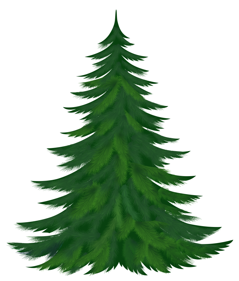 Pine tree clipart - Pine Trees Clip Art