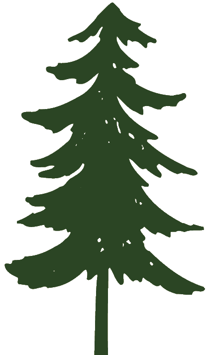 Pine Trees Gif Image