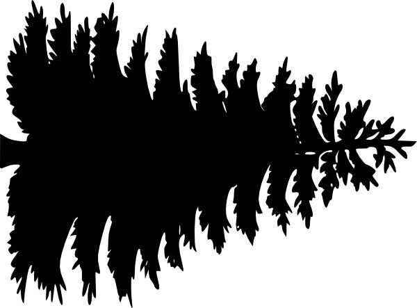pine tree outline | Large Pine Tree clip art - vector clip art online, royalty