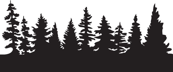 pine tree scene silhouette