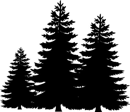 Pine Tree Silhouette Clip Art - Clipart Pine Tree