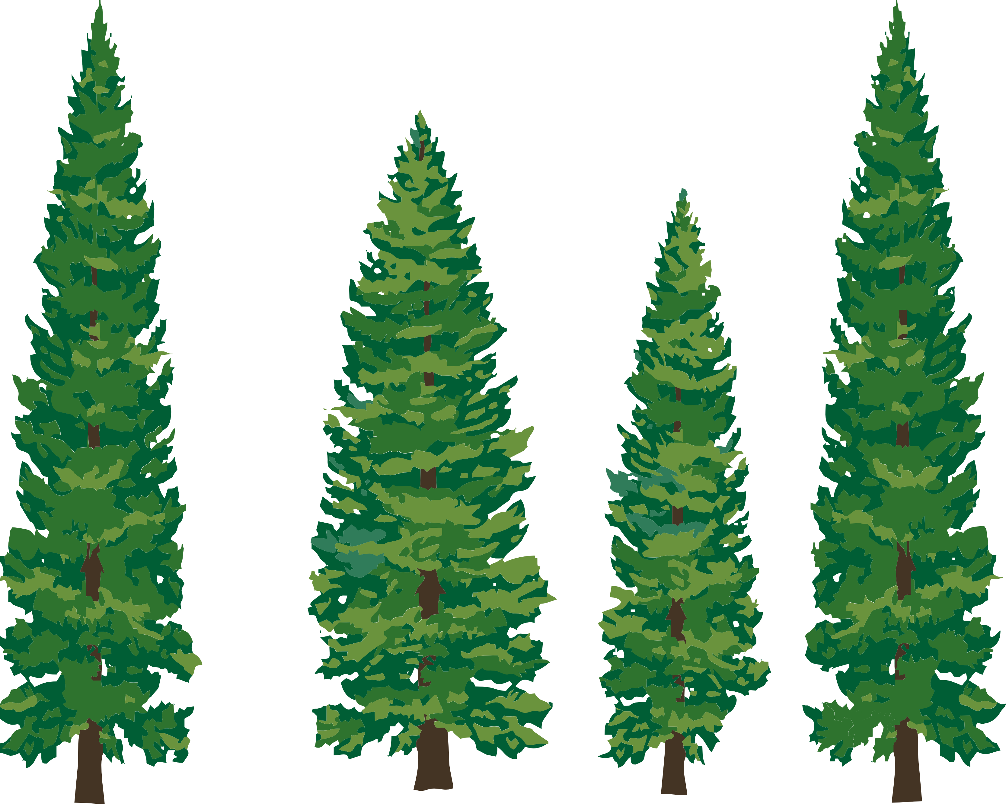 Pine Trees Clip Art. pine clipart