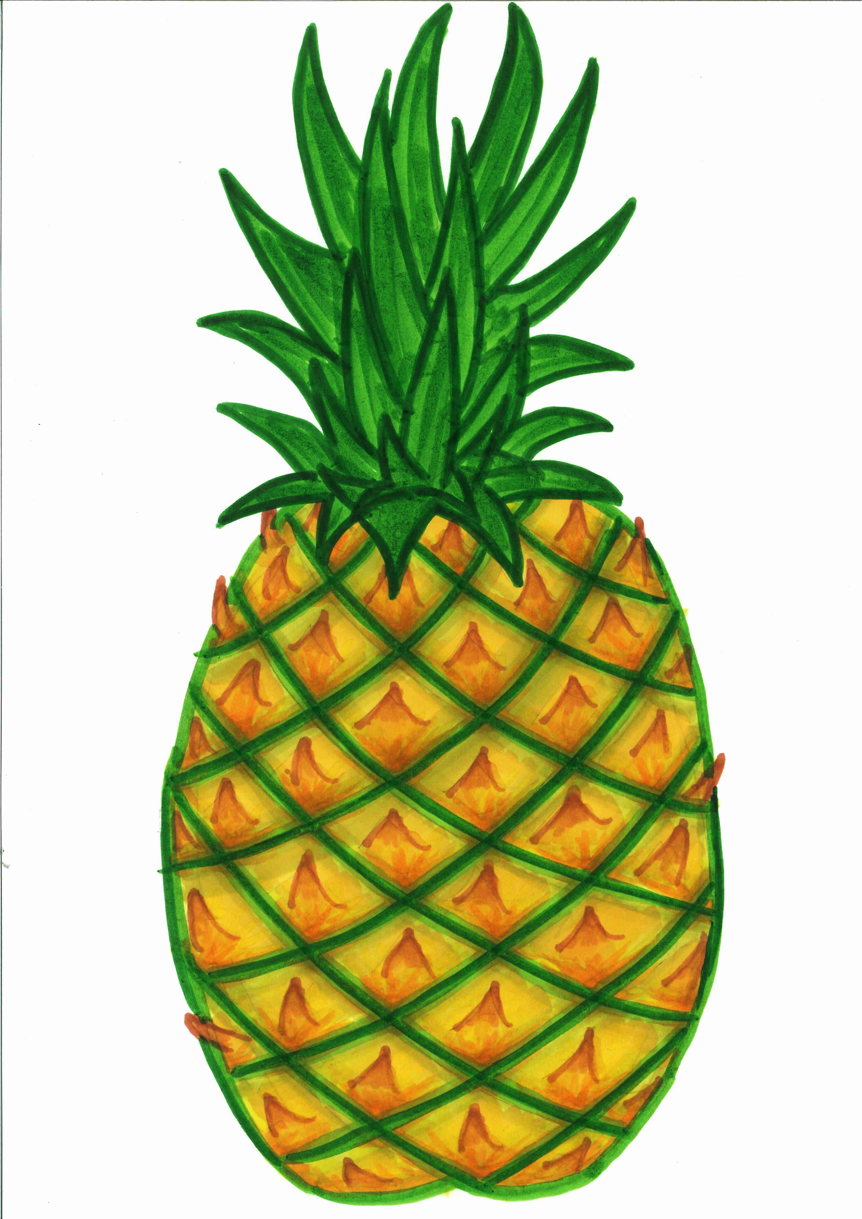 pineapple clipart black and white