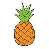 Pineapple. Stock Images - Clip Art Pineapple