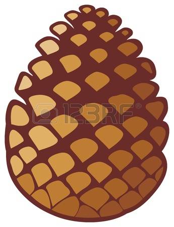 pinecone: pine cone